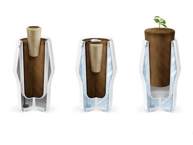 urna biodegradável